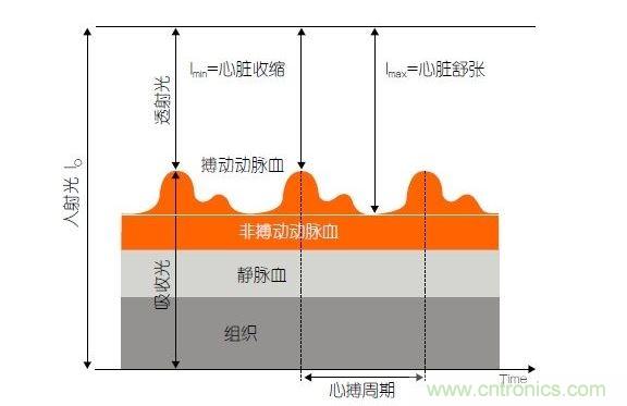 PPG測(cè)量中檢測(cè)器信號(hào)的產(chǎn)生。照射皮膚的光線(I0)被靜脈血或動(dòng)脈血吸收，或反射回檢測(cè)器。信號(hào)的變化分量對(duì)應(yīng)著與心跳同步變化的動(dòng)脈血流量。這個(gè)信號(hào)的變化周期指示了脈率。最小和最大檢測(cè)器信號(hào)的比值(光電流Imin/Imax)為判斷血氧飽和度提供了依據(jù)。
