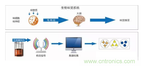 仿生傳感器的定義、原理、分類及應用