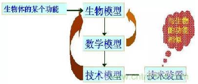 仿生傳感器的定義、原理、分類及應用
